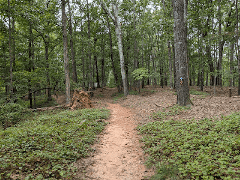 Hiking Trails Close to Your Door