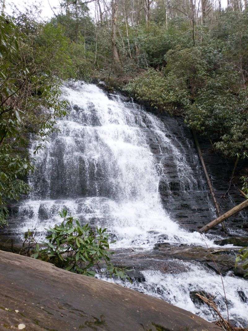 The Waterfall Arrives Like a Forest Surprise