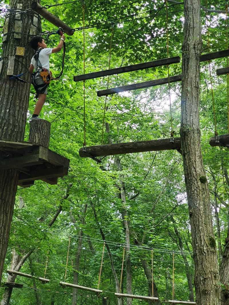Zip Lines That Add A Fast Little Whoosh