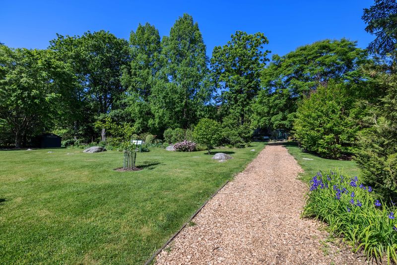 Woodland Escape at Bartlett Arboretum & Gardens - Stamford