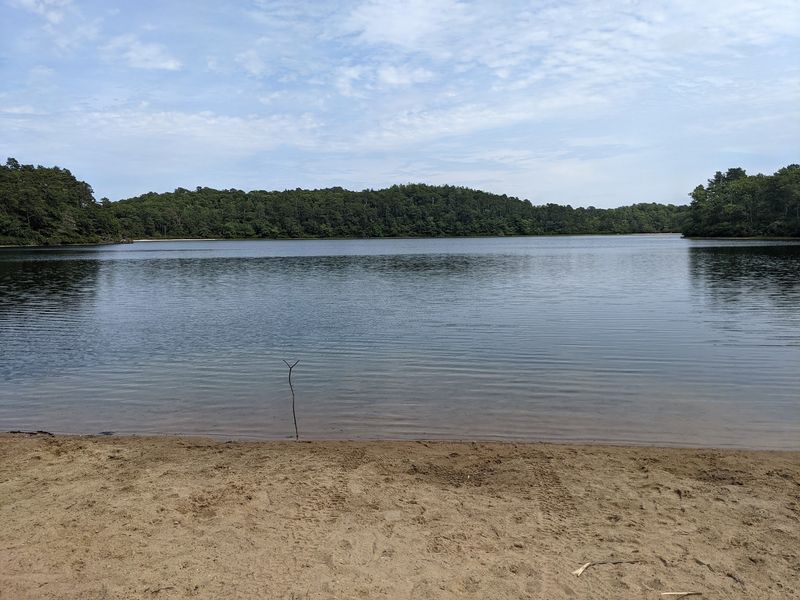 Higgins Pond