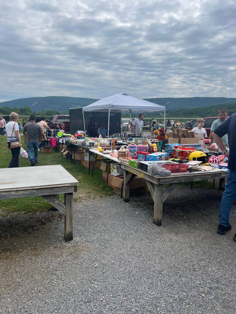Tools, Hardware, and Practical Bargains