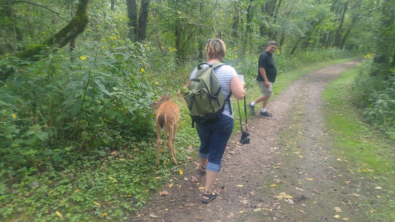 Wildlife Encounters in Every Season
