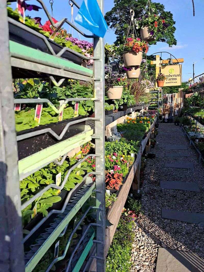 Pemberton Farms Marketplace, Cambridge