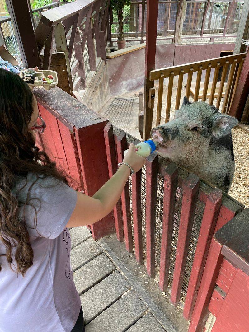 Pocono Snake & Animal Farm