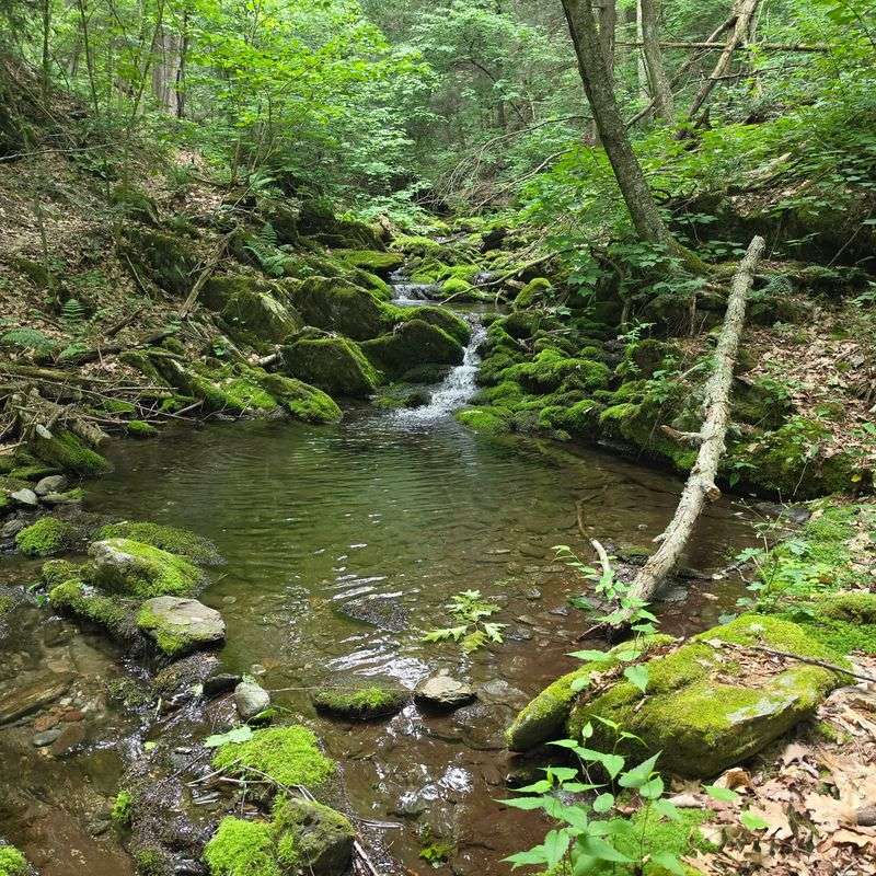 Bash Bish Falls State Park and the Southern Berkshires