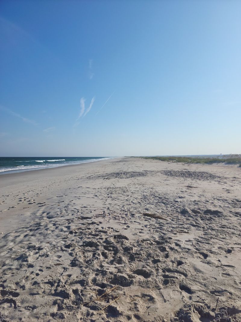 Masonboro Island - Wilmington Area