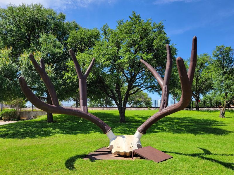 Abilene - Taylor & Jones Counties