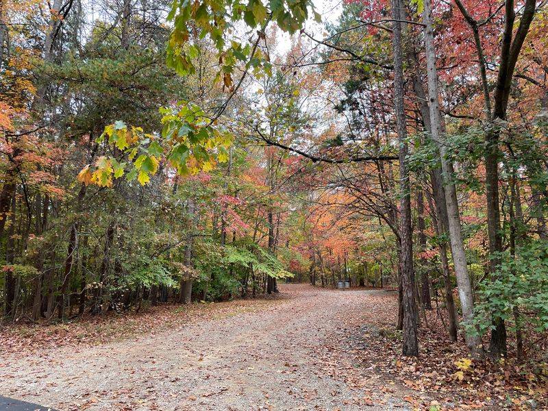 Playful Trails Near the City - Reedy Creek Park in Charlotte, Mecklenburg County