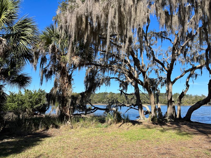 Avian Loop Trail - Savannah