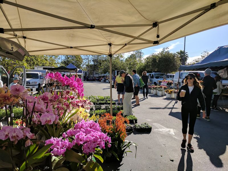 Venice Farmers Market - Venice