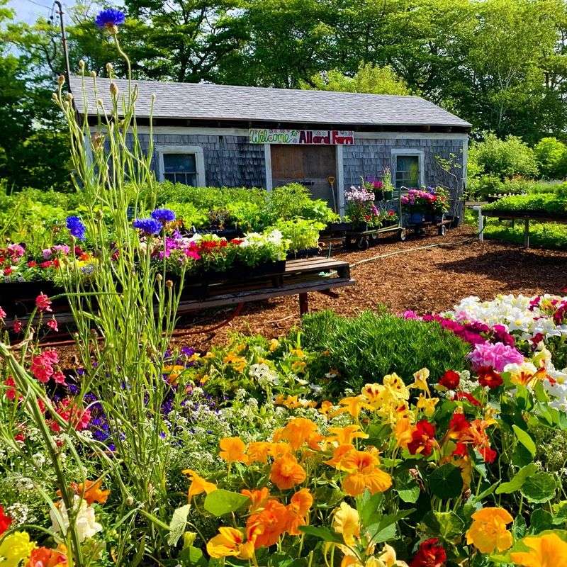 Allard Farm, Brewster