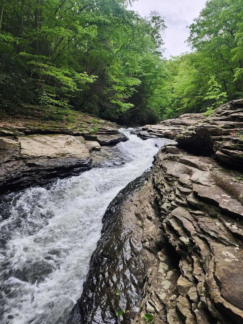 Ohiopyle State Park, Ohiopyle, Fayette County