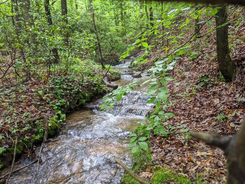 Little Mountain Falls - Stuart