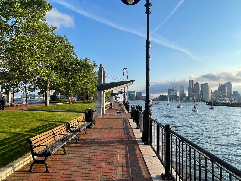 Skyline Views Without the Harbor Cruise Price