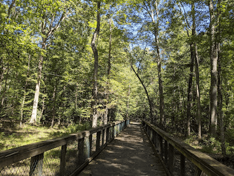 Family-Friendly Trails Without a Big Production