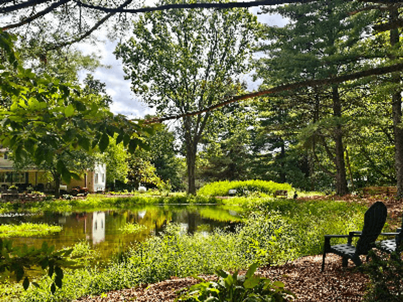 Picnic Breaks Make It a True Day Trip