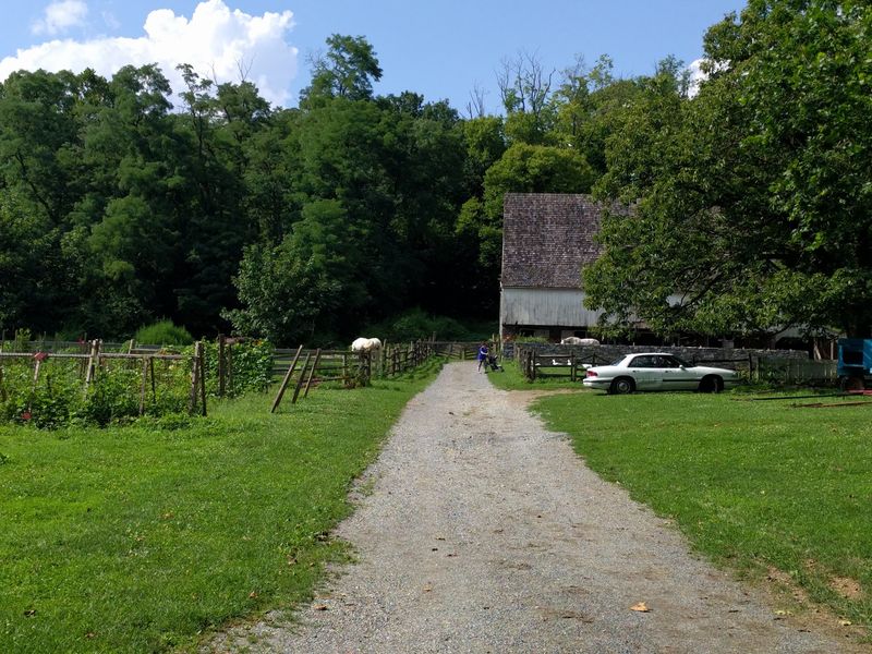 The Heirloom Seed Project And Agricultural Heritage