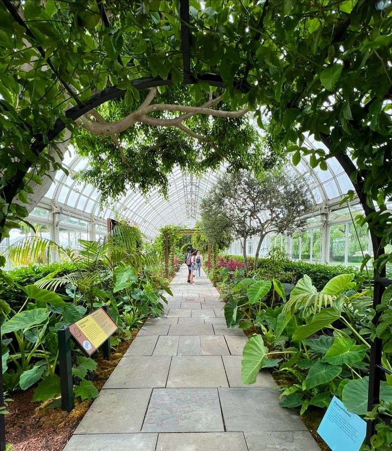 Smart Visitor Tips for a Better Walk