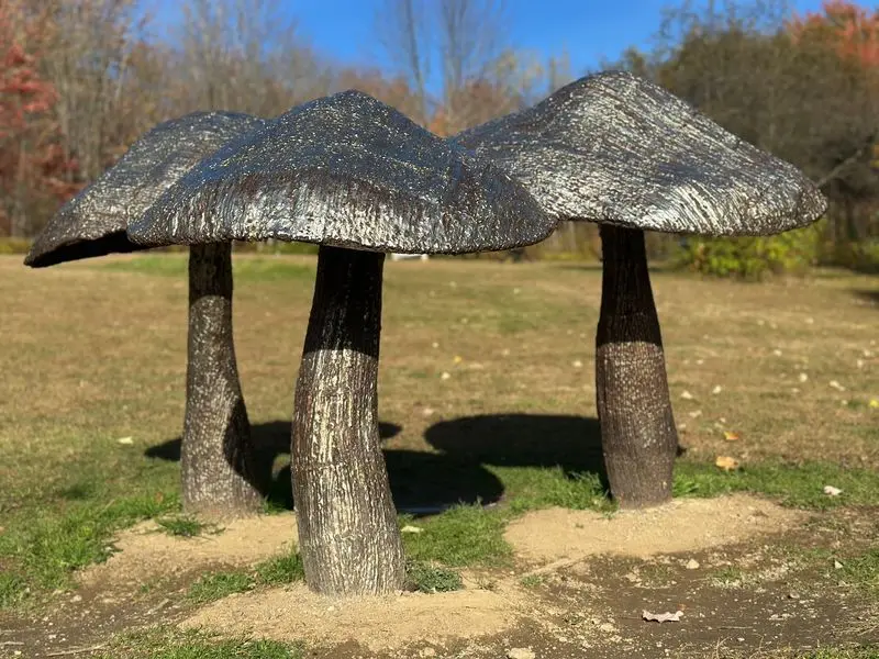 Griffis Sculpture Park, East Otto, Cattaraugus County
