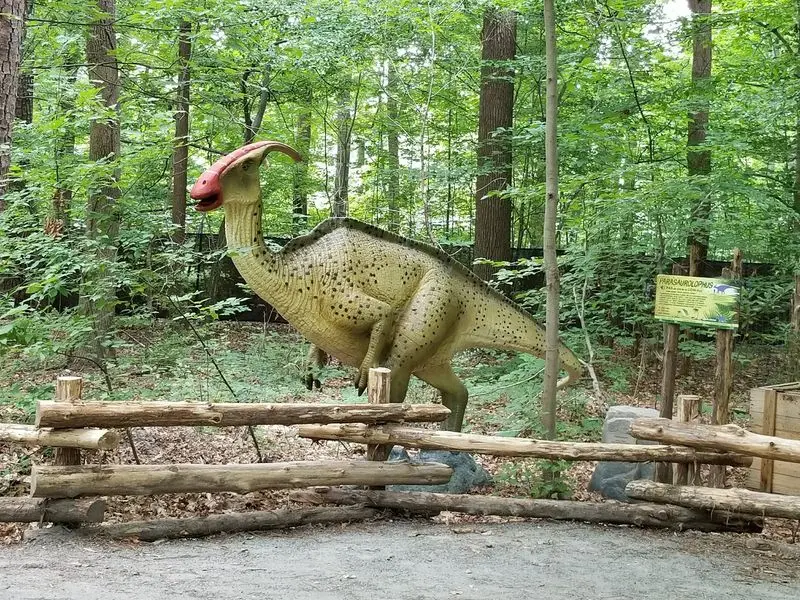 Look for Dinosaurs You May Not Know