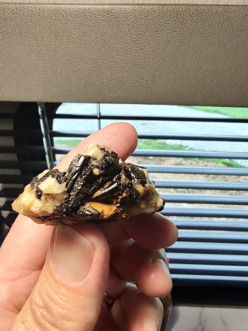 Make a Real Souvenir From Your Find
