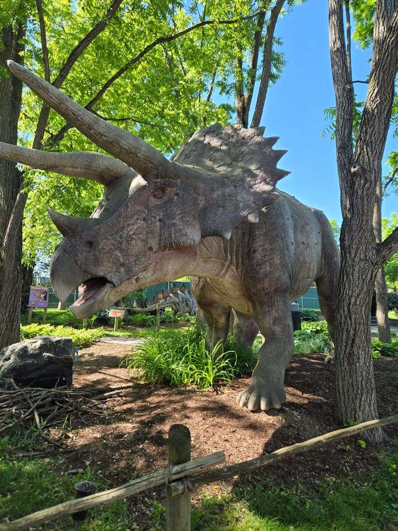 Clyde Peeling's Reptiland - Allenwood