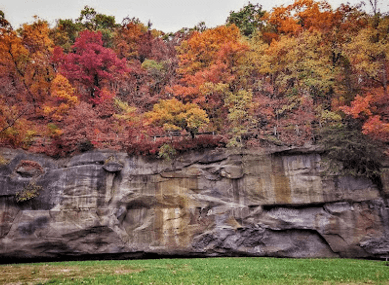 Fall Color Makes the Canyon Glow