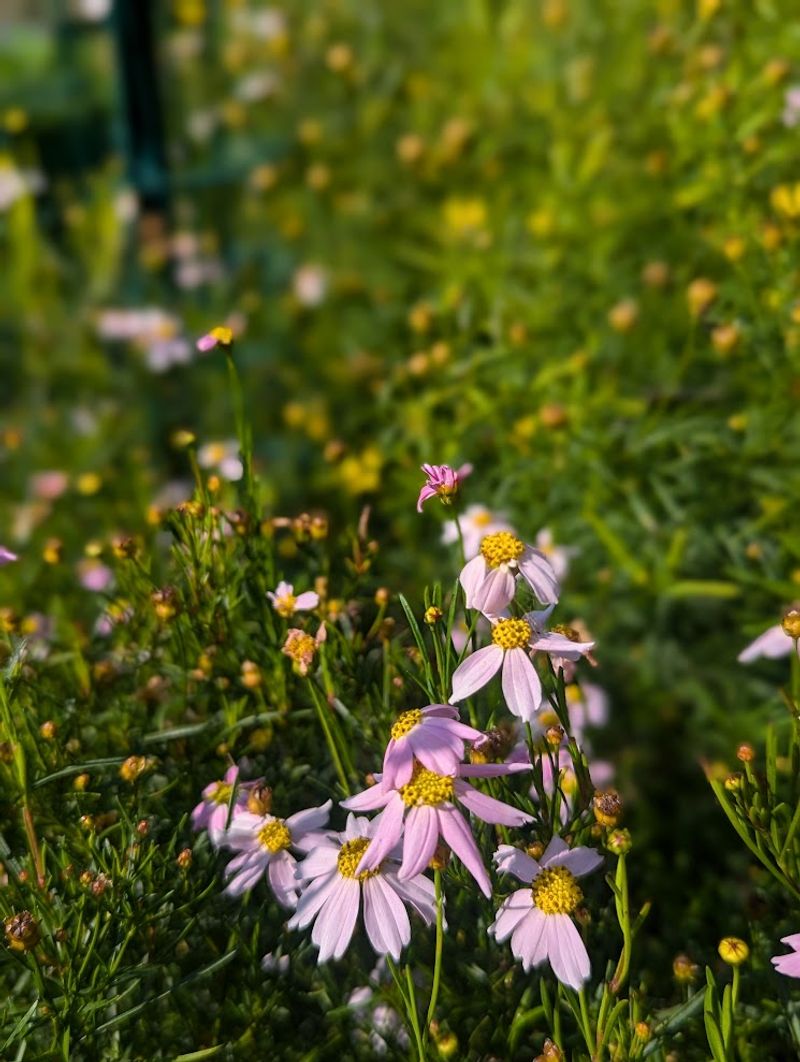 Plant Labels That Help Beginners Learn