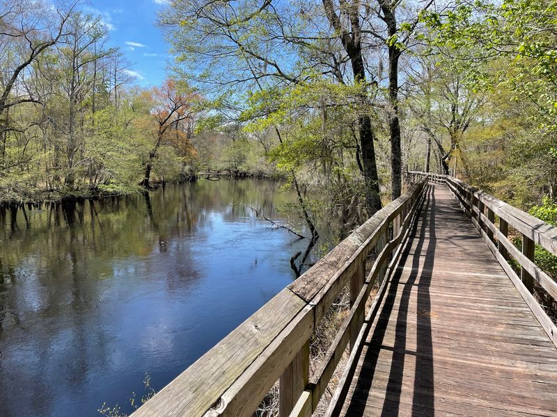 Fair Bluff River Walk - Fair Bluff