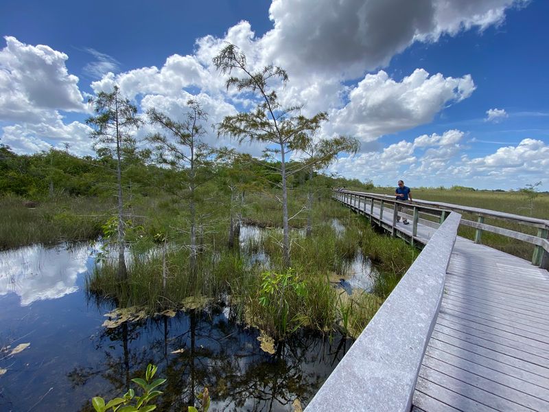 Anhinga Trail Overlook, Homestead, Miami-Dade County