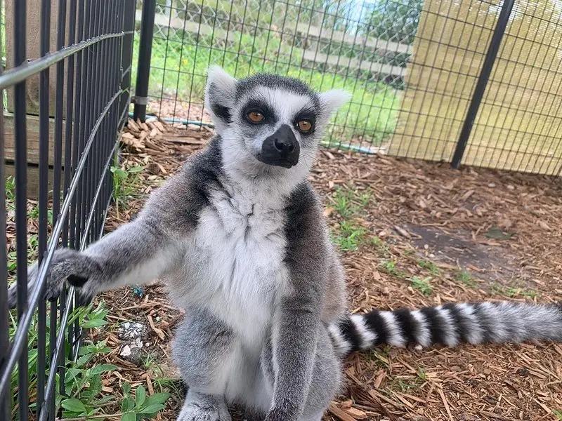 Wildlife Wonderland - East Texas