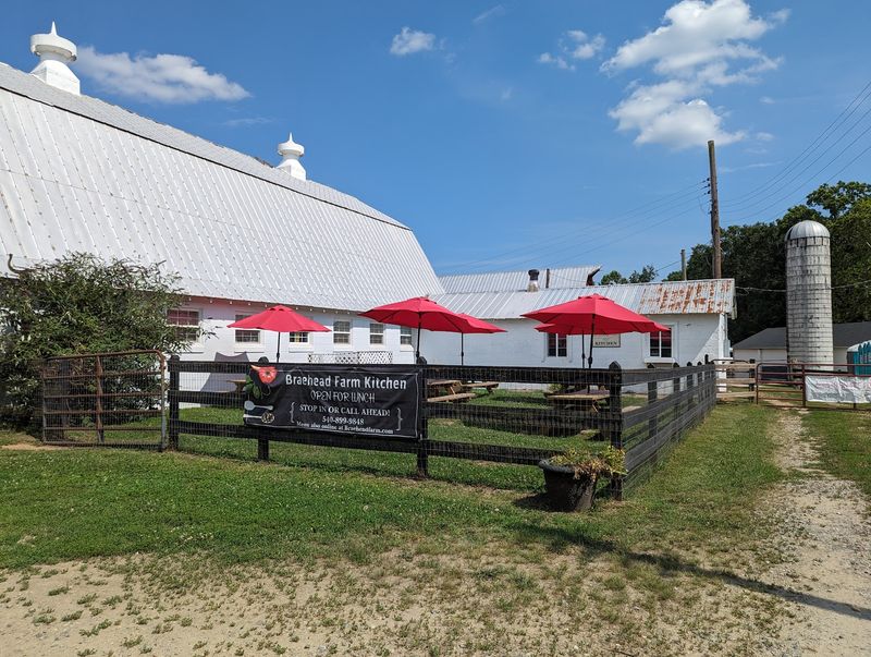 Grab Lunch Without Leaving the Farm