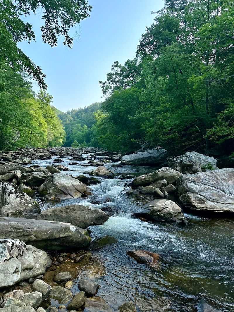 Conley Cove Trail, Burke County