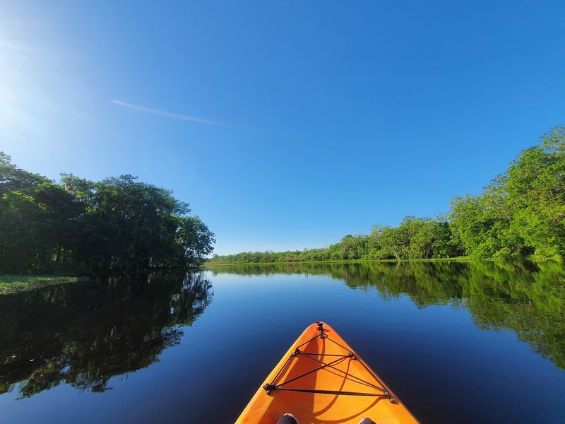 Blue Spring State Park - Orange City