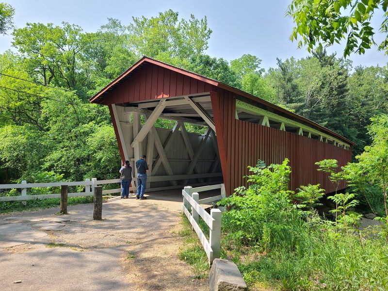 A National Park Surprise Beneath Tall Trees