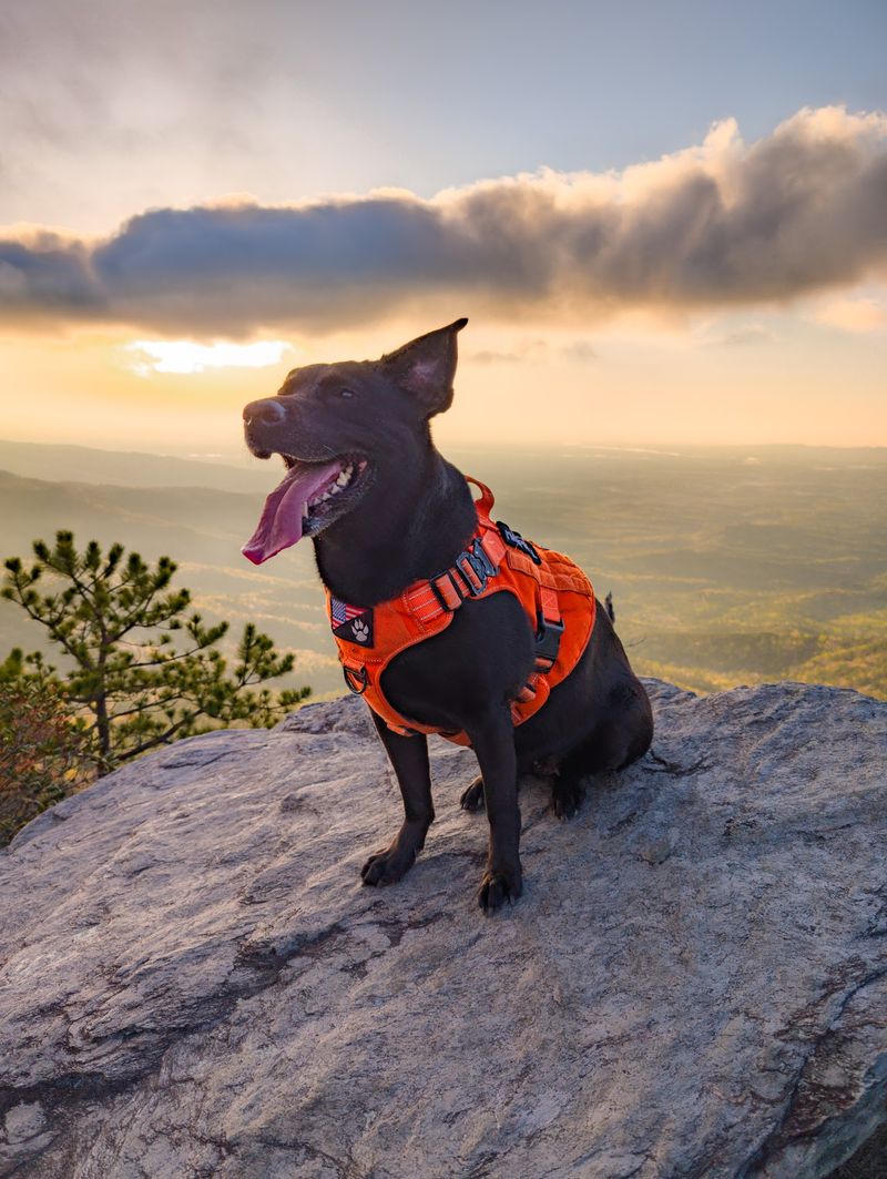 Chimneys Trail, Burke County