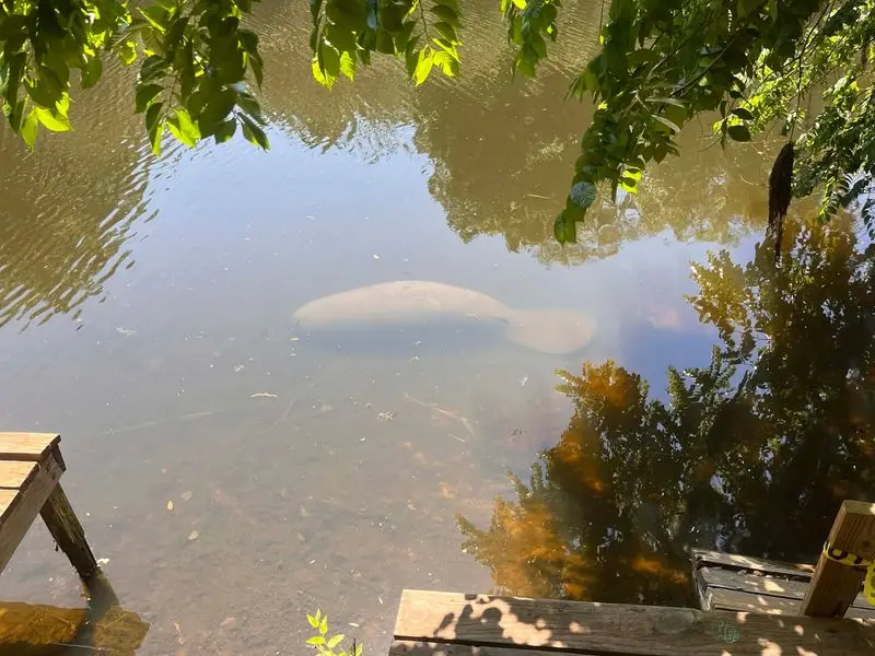 Turkey Creek Sanctuary