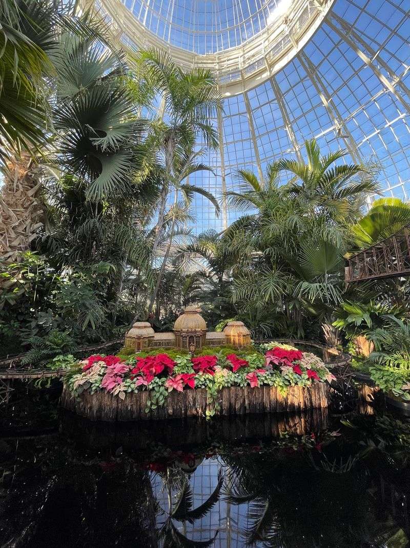 Why Plant Lovers Keep Coming Back