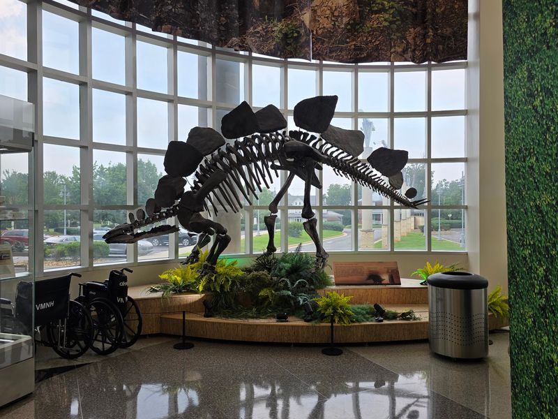 Virginia Museum of Natural History, Martinsville, Martinsville City