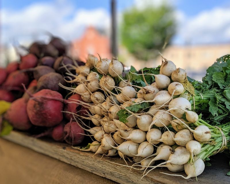 Pittsfield Farmers Market - Pittsfield