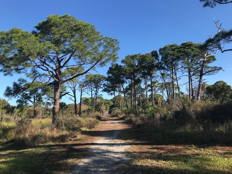 Osprey Trails With A Wild Side