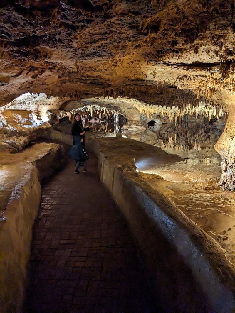 The Visitor Experience of Hearing Earth Sing