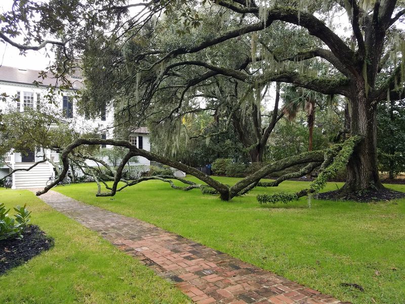 Beaufort Historic District - Beaufort