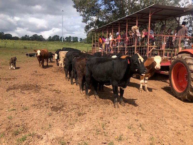 Warbington Farms