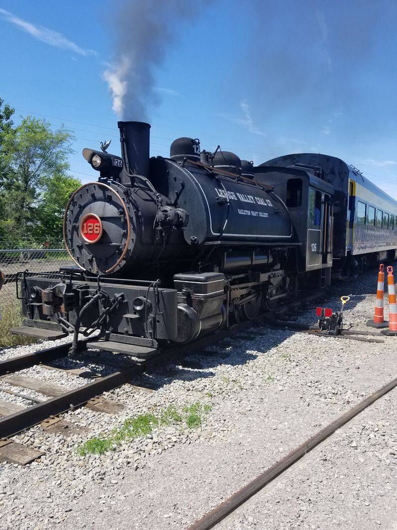 Pere Marquette 1225 Excursion - Owosso