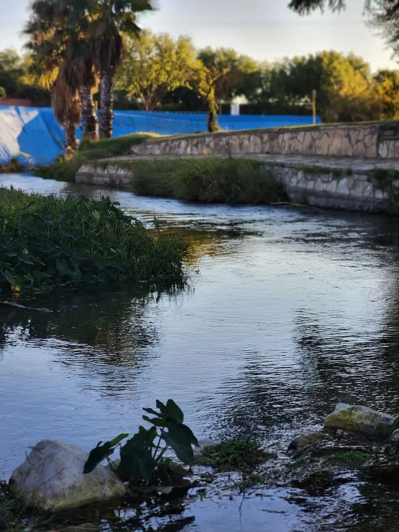 San Felipe Springs - Del Rio