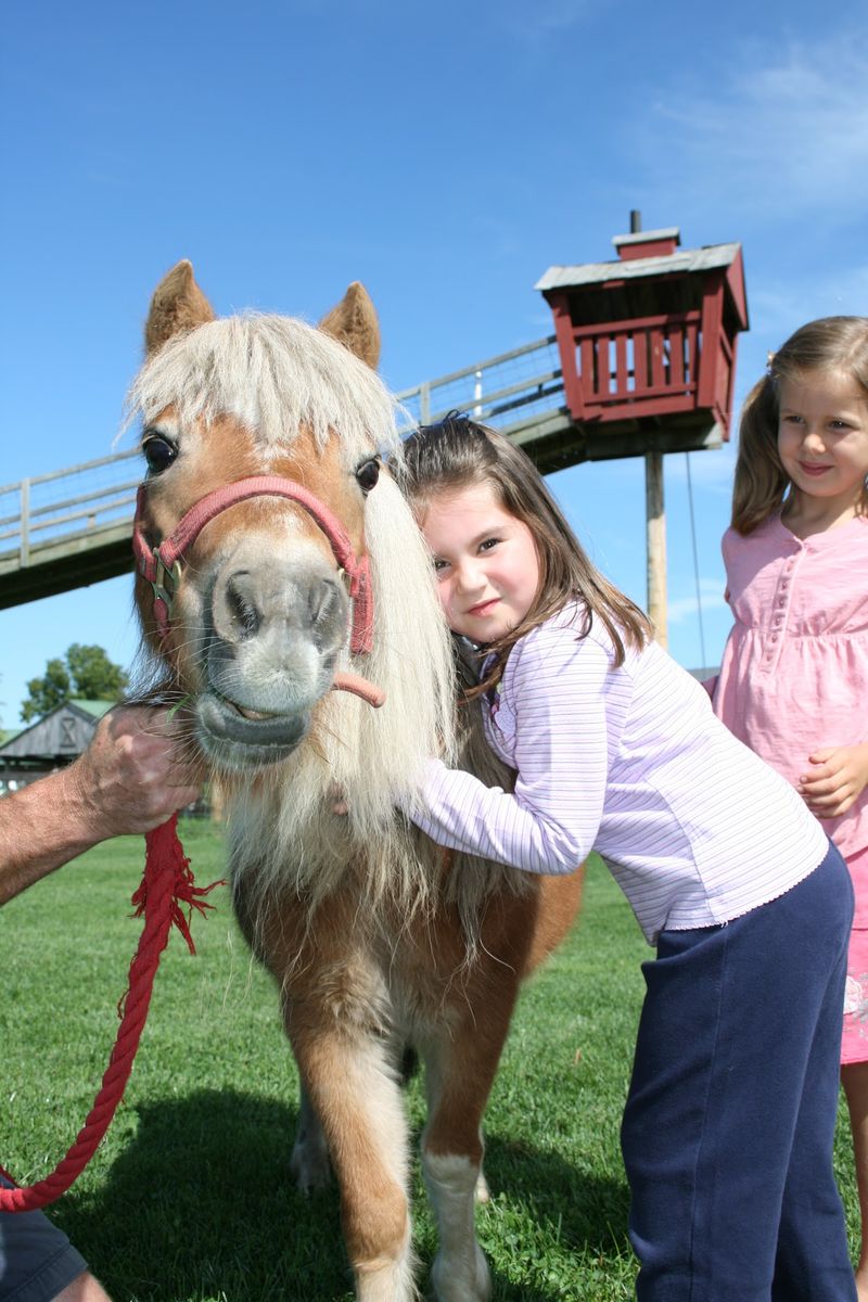 Hayrides, Pony Rides, and Small Moments of Wonder