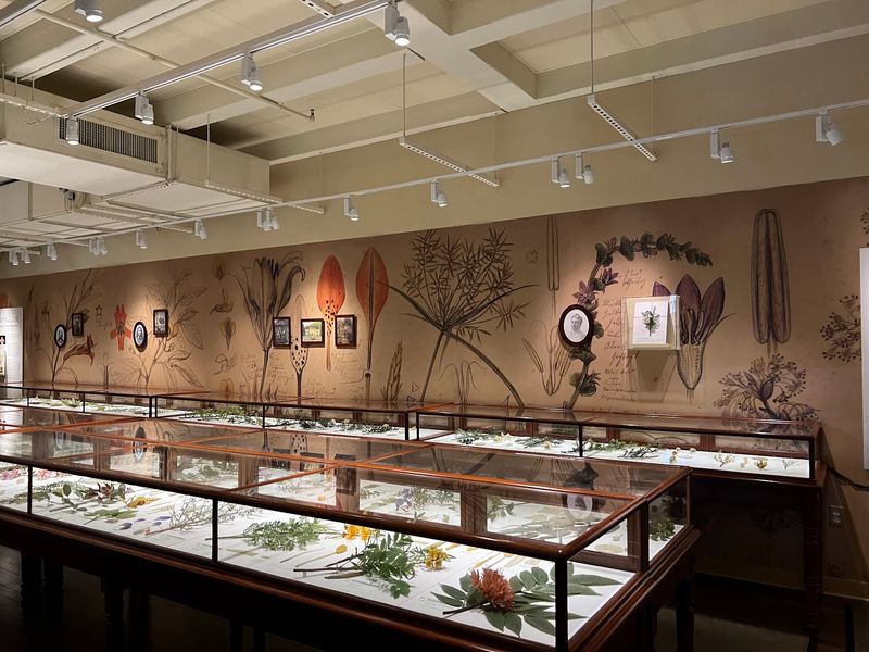 Harvard Natural History Museum, Cambridge, Middlesex County