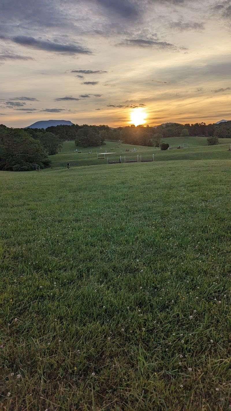 Virginia Horse Center, Lexington